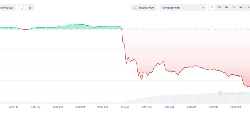 Курс Toncoin падал на 20% на фоне новостей о задержании Павла Дуровав