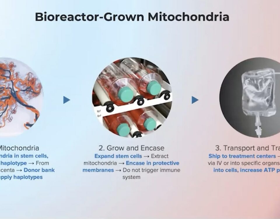 Mitrix Bio 利用線粒體增強抗衰老