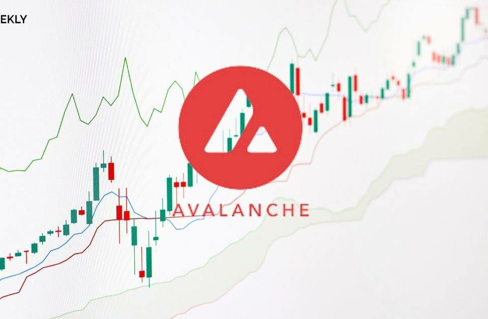 Avalanche第二季位下降46%：市值滑至第11