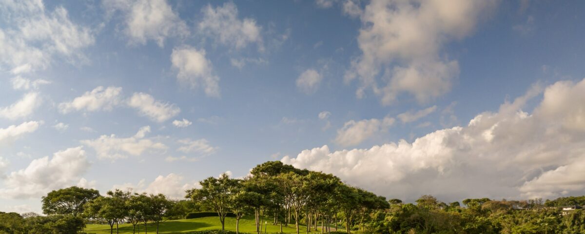 Casas sostenibles: el techo verde de esta vivienda en Brasil es alone una de sus propuestas para vivir de manera responsable (sin renunciar al diseño)